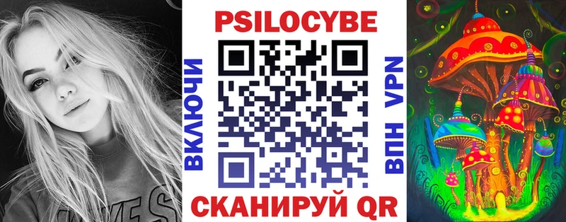 Купить  Нижние Серги  Псилоцибиновые грибы Cubensis 